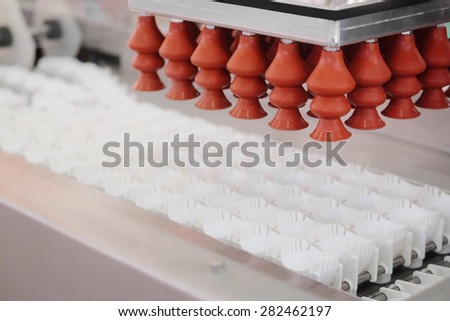 Machine for the egg package