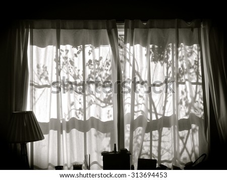 The shadow of a tree coming in through a set of closed curtains.