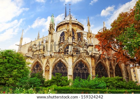 Notre Dame de Paris Cathedral, garden with flowers.Paris. France