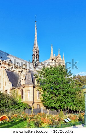 Notre Dame de Paris Cathedral, garden with flowers.Paris. France