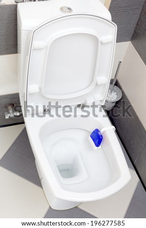Interior of a typical water-closet