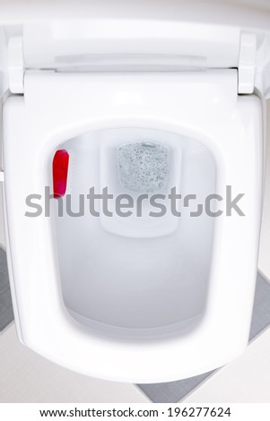 Interior of a typical water-closet
