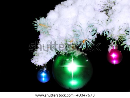 Christmas and New Year decoration- balls on snow-covered fir branches .On black  background