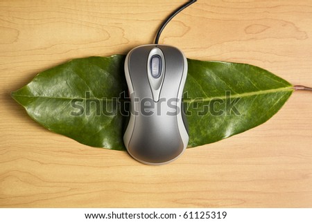 Computer mouse on a leaf