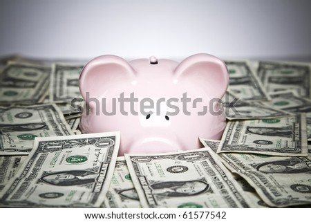 Piggy bank placed up to its nose in a pile of dollars