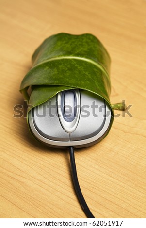 Computer mouse wrapped in a leaf
