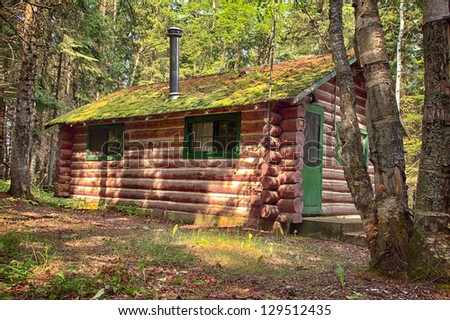 Old Log Cabin in the wooded forest of evergreen trees