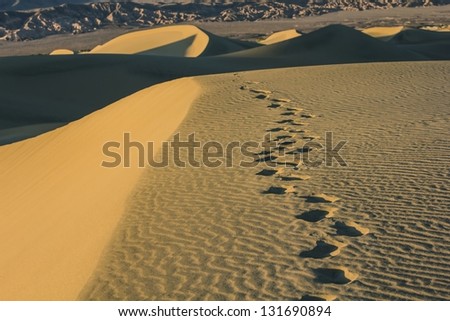 Footprints in the Sand Dunes At Death Valley National Park, California, USA