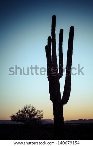 A cactus in silhouette against the desert sky at sunrise.