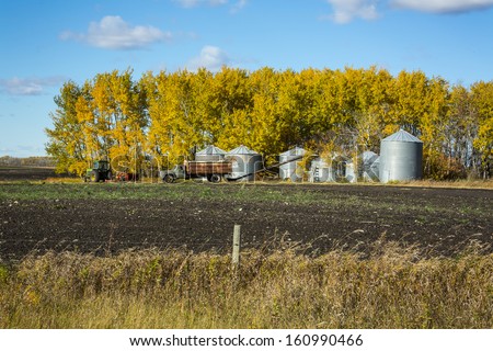 A grain truck by a row of steel grain bins during the fall harvest
