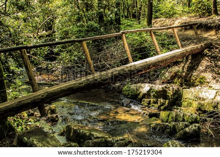 Log and wood bridge crossing a small creek