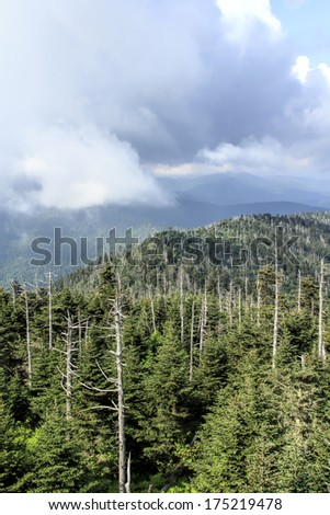 The natural landscape looking from the highest point in Tennessee at the summit of Clingmans Dome in the Great Smoky Mountains National Park
