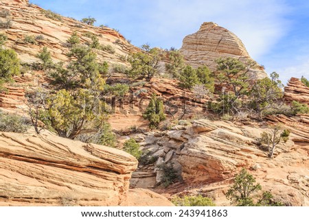 Trees grow on the edge of the steep cliffs at Zion National Park, Utah, USA.