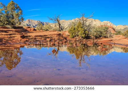 Snow Canyon State Park is a state park of Utah, USA, featuring a canyon carved from the red and white Navajo sandstone in the Red Mountains. The park is located near Ivins, Utah and St. George.