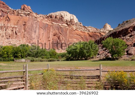 Field in Fruita at the Capitol Reef National Park in south-central Utah.