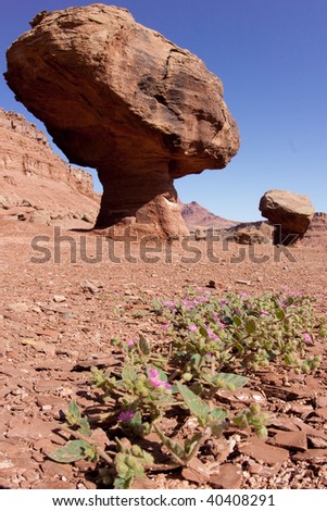 A balanced rock near Lees Ferry in the Glen Canyon National Recreation Area, Arizona.