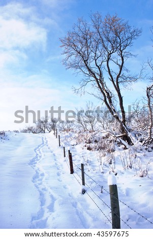 A path of footsteps along a fence in the fresh white snow.