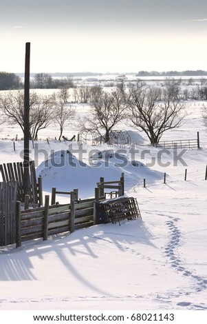 Snowy cold frosty winter prairie landscape