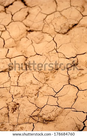A dry water hole showing cracked mud