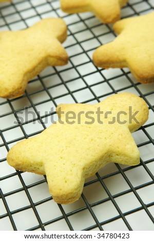 Cookies on a cooling rack isolated against a white background