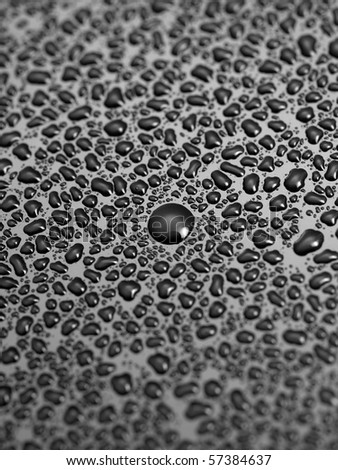 Water droplets isolated on a black surface