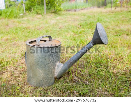 Old, rusty watering can standing on grass