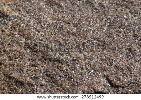 Northern stone texture and background. Granite. Quartz. Quartzite. Mica. Marble. Shungite. Basalt. Red stones. Iron stones.