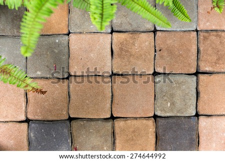 Floor of square brick