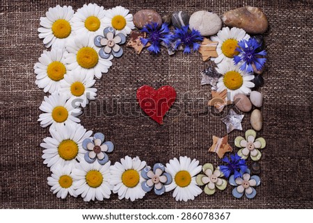 a Frame daisy background wallpaper design