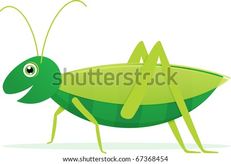 Cute Grasshopper Pictures