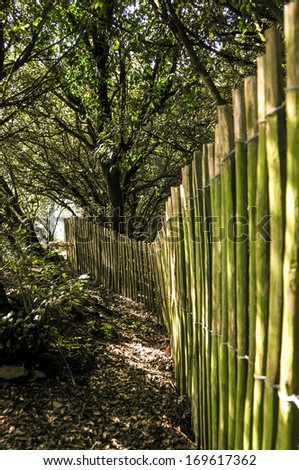 Wooden fence in a forest