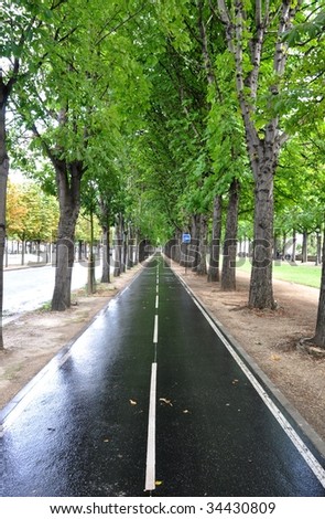 Cycle lane after the rain
