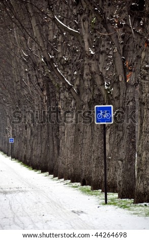 Cycle lane in winter