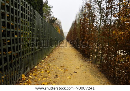 Straight footpath in autumn, Versailles gardens, France