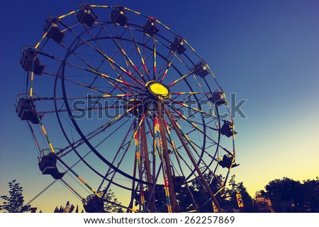 Carnival Ferris Wheel at sunset