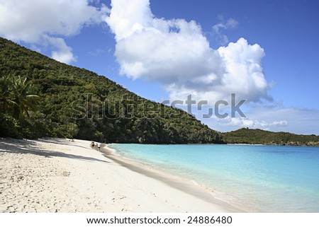 A picturesque Caribbean aqua blue beach lined with white sand beaches and calm waters
