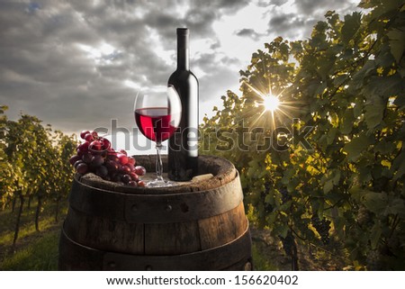 red wine in glass and bottle on wood barrel