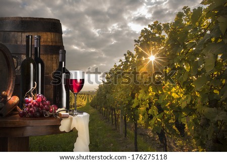 Red Wine On Vineyard