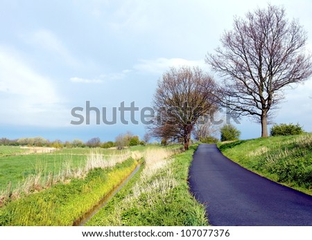 a country road through a agriculture environment on the countryside of holland