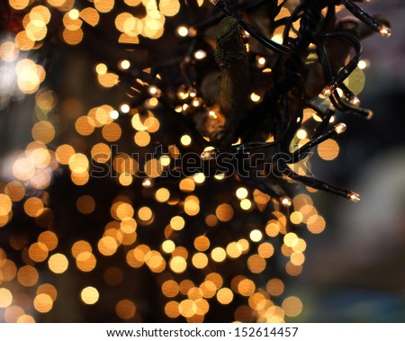 christmas lights hanging in a tree creating a wonderful bokeh of lights