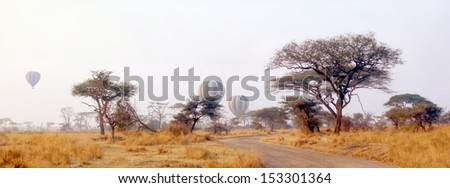 Hot air balloons above a african landscape during a safari in the serengeti