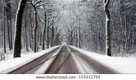road and trees covered with snow on a cold winterday
