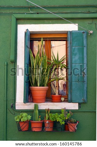 window with a wooden shutter and plants in terracotta pots with a colorful painted old wall at the island of Burano ,Venice, Italy