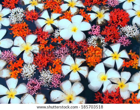 background filled with colorful flowers floating on the water surface