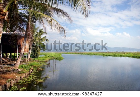 gorgeous landscape by the waterside with palm trees and a romantic wooden cabin