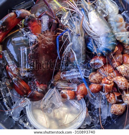 fresh seafood in ice bucket