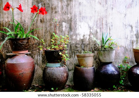 Garden flowerpots and plants on a terrace