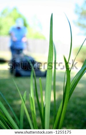 Lawn Garden Grass Mowing