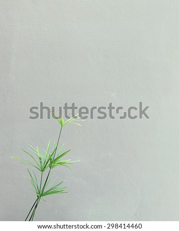 Little plant and the Wall