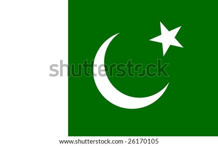 Pakistan Flag Butterfly